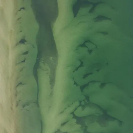 Leomare Międzywodzie