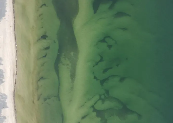 Leomare Międzywodzie